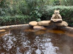 -天目湖涵田半山温泉水乐园
