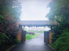 门面-杏花村文化旅游区