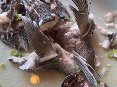 -浩运海鲜·16年专注青岛菜(石老人店)