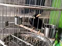 -五悦北平四季涮肉·烧烤(老商埠店)