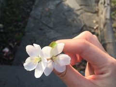 -同济大学(嘉定校区)