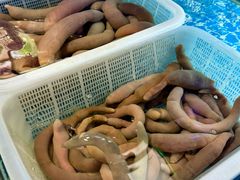 -夜下蚝庄(狄村街店)