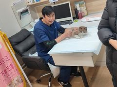 -瑞派宠物医院·犬猫全科·猫友好(宾水西道店)