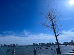 -养马岛旅游度假区