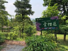 -田野绿世界