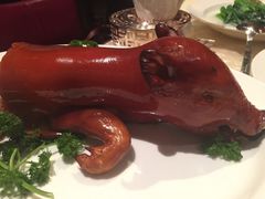 -8餐厅(新葡京酒店)