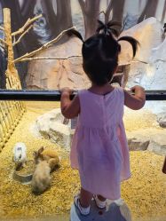 -酷嗒动物文化乐园(cutezoo西溪乐天城店)