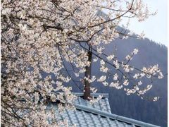 -雅鲁藏布江