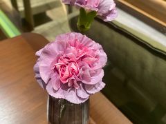 -小西家作(富力爱丁堡店)