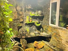 -大匠工房古船木艺术餐厅·猪肚鸡专门店(长白仙岛店)