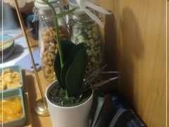 店内布置-九锅一堂酸菜鱼(学府凯德店)
