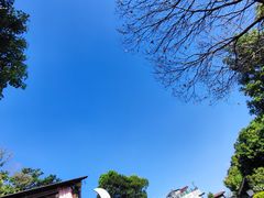 -鼓岭旅游度假区