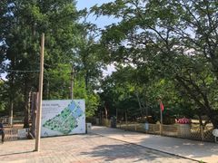 -1982农场