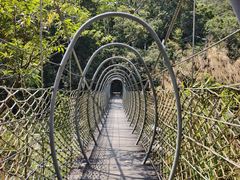 -海南热带雨林国家公园吊罗山景区