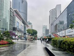 -赛格电子市场(华强北路店)