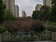 -仁恒西郊花园