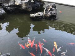 -道南書院·私房菜·早午茶·茶馆