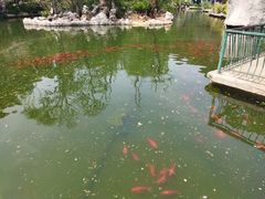 -昆明动物园