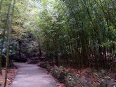 -雁荡山三折瀑景区