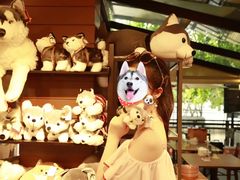 -TrueLove @ Neverland (Husky Cafe)
