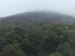 -宝岩生态观光园