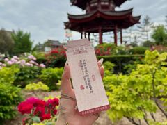 -大慈恩寺(大雁塔)