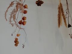 -灶咖KITCHEN