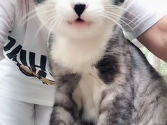 -天幕新彩云国际影城(激光巨幕店)