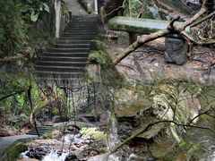 -东莞市大岭山森林公园