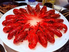 -红盔甲·小龙虾(天钥桥店)