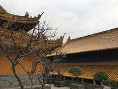 -普陀山风景名胜区-法雨禅寺