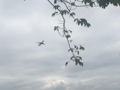 -空港花田景区