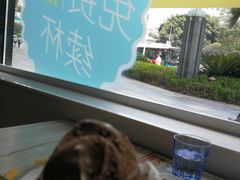-必胜客(大坪英利店)