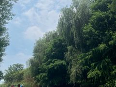 -动邦皮划艇·桨板·独木舟·团建户外运动俱乐部