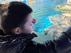 -烟台海昌鲸鲨海洋公园