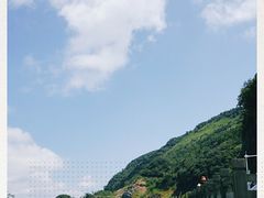 -武陵山森林公园