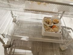 -肥佬大椰子鸡(三里屯3·3大厦店)