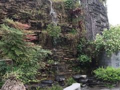 -广州神农草堂中医药博物馆