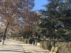 -保定市动物园