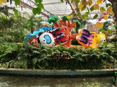 -南宫五洲植物乐园