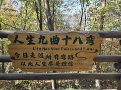 -天目湖山水园