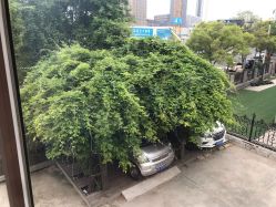 点击看大图 -月之旅·尊 高端月子会所(科馨别墅一店)