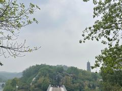 -重庆园博园