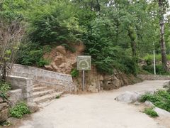 -大岭沟猕猴桃谷风景区