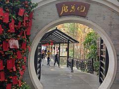 -侨美·唐荔园·40年地道粤菜