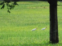 -福建鲤鱼洲酒店