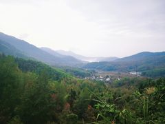 -塔川景区