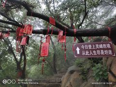 -天津盘山风景名胜区