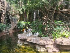-长鹿旅游休博园