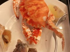 -圣丰索菲特·2 On 988 Café 自助餐厅